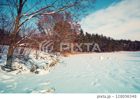 Rural landscape, countryside on a sunny day. Nature winter background. Snowy forest and field covered with snow 128036348