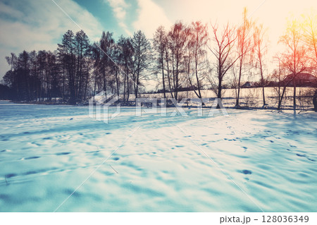 Winter rural snowy landscape. Trees on the snowy field 128036349