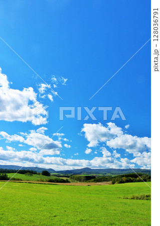 北海道 夏の青空と新緑の草原風景 北海道 夏の青空と新緑の草原風景 128036791