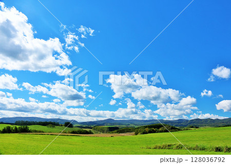 北海道 夏の青空と新緑の草原風景 北海道 夏の青空と新緑の草原風景 128036792