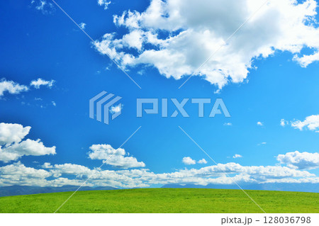 北海道　夏の青空と新緑の草原風景 128036798