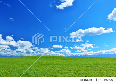 北海道　夏の青空と新緑の草原風景 128036800