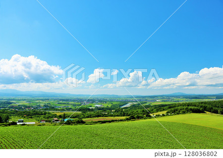 北海道　夏の青空と大地 128036802