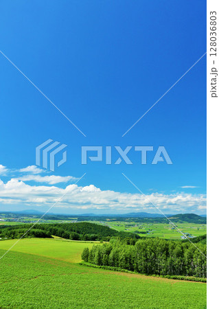 北海道　夏の青空と大地 128036803