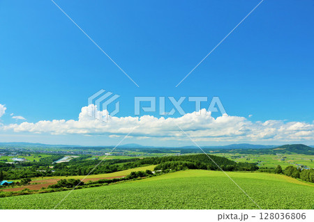 北海道　夏の青空と大地 128036806
