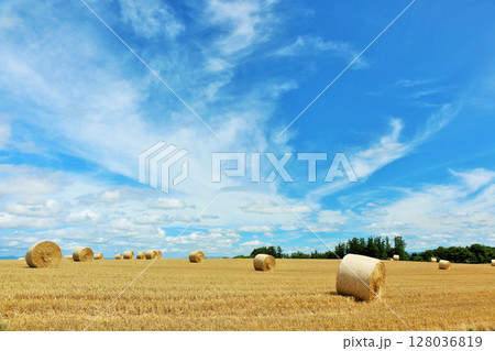 北海道　青空の大地と牧草ロール 128036819