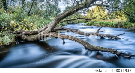 Serene River Scene Tranquil Water Flowing Past Fallen Tree Branches Nature Photography Peaceful 128036932