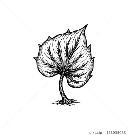 Intricate hand-drawn leaf illustration showcasing botanical details and organic form 128038088