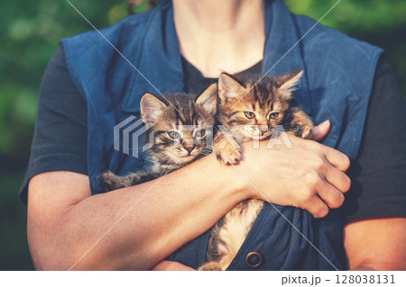 Woman holding two stray kittens outdoor 128038131