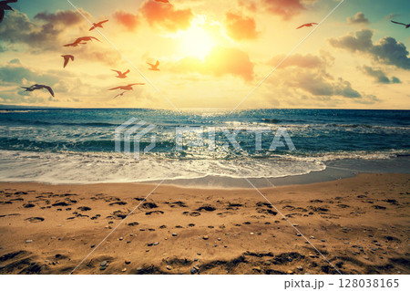 Seascape in the early morning. Sunrise over the sea. Seagulls fly over the beach 128038165