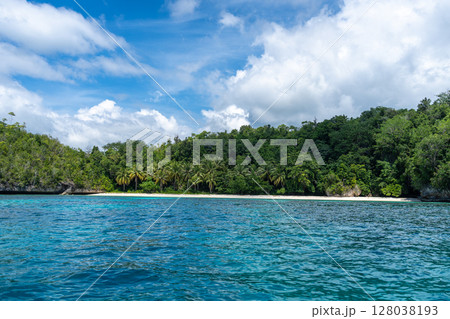 Paradise beach and island, Togian Islands, Sulawesi, Indonesia Paradise beach and island, Togian Islands, Sulawesi, Indonesia 128038193