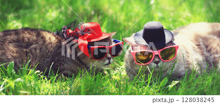 Two funny cats wearing sunglasses and hats lay on the grass on a sunny day. Horizontal banner Two funny cats wearing sunglasses and hats lay on the grass on a sunny day. Horizontal banner 128038245