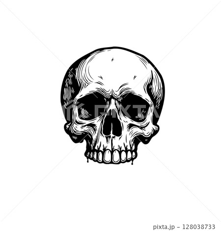Monochrome skull drawing with detailed line work on a white background Monochrome skull drawing with detailed line work on a white background 128038733