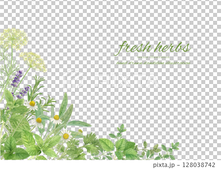 用水彩草本裝飾的框架背景材料 128038742