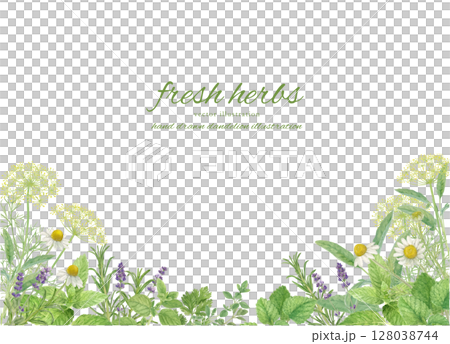 用水彩草本裝飾的框架背景材料 128038744