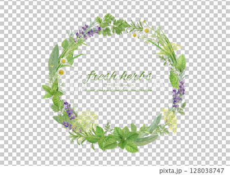 用水彩畫的天然草本葉子裝飾的框架材料 用水彩畫的天然草本葉子裝飾的框架材料 128038747