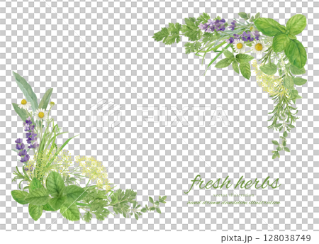 用水彩畫的天然草本葉子裝飾的框架材料 用水彩畫的天然草本葉子裝飾的框架材料 128038749