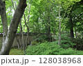 春の公園の庭園風景 128038968