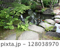 春の公園の庭園風景 128038970