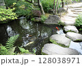 春の公園の庭園風景 128038971