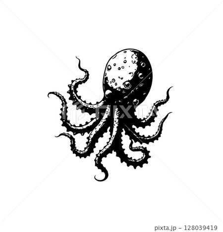 Monochrome Octopus Illustration: A Detailed Black and White Ink Drawing 128039419