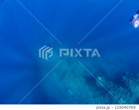 巨大なオオモンカエルアンコウと観察するスキンダイバーたち。 ヒリゾ浜中木南伊豆町伊豆半島静岡県202 巨大なオオモンカエルアンコウと観察するスキンダイバーたち。 ヒリゾ浜中木南伊豆町伊豆半島静岡県202 128040769