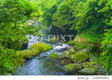 (熊本県)菊池渓谷 紅葉の瀬 (熊本県)菊池渓谷 紅葉の瀬 128040882