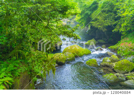 (熊本県)菊池渓谷 紅葉の瀬 (熊本県)菊池渓谷 紅葉の瀬 128040884