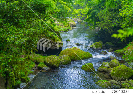 (熊本県)菊池渓谷 紅葉の瀬 (熊本県)菊池渓谷 紅葉の瀬 128040885