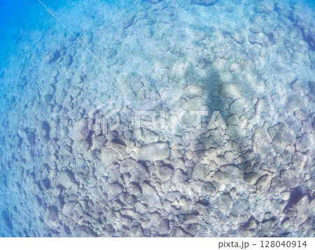 浅瀬の砂地に映るスキンダイバーの影。 凪の波紋が美しい。 ヒリゾ浜中木南伊豆町伊豆半島静岡県202 浅瀬の砂地に映るスキンダイバーの影。 凪の波紋が美しい。 ヒリゾ浜中木南伊豆町伊豆半島静岡県202 128040914