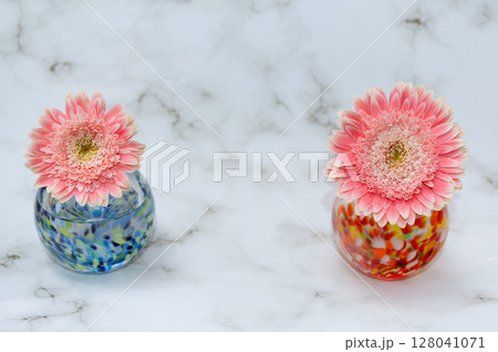 左右に配したガラスの一輪挿しに挿したガーベラ 128041071
