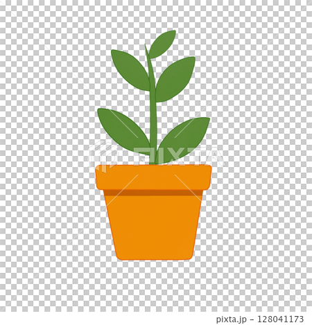 Plant in the pot  128041173