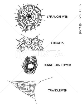 illustration of biology and zoology, Different types of spider webs, spider silk is a structure created by a spider out of proteinaceous spider silk extruded, spiders build webs specifically to trap 128041197
