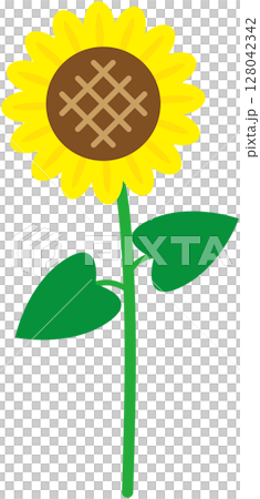 Cute sunflower Cute sunflower 128042342