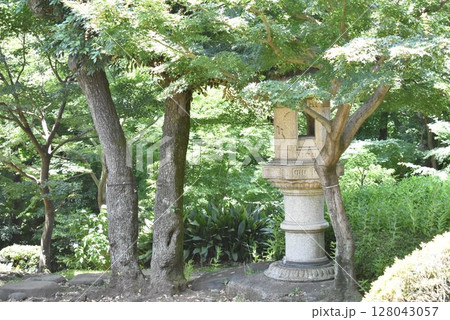 日本庭園の石灯篭　旧朝倉邸 128043057