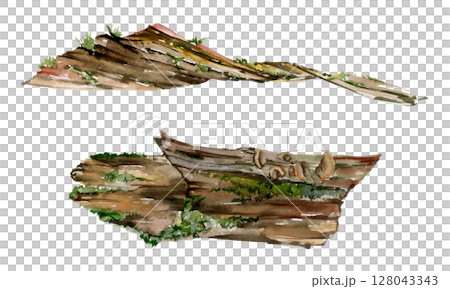 Fallen tree trunk log bark covered in moss lichen fungus growth. Forest woodland floor detritus biodiversity habitat. Single element watercolor hand drawn illustration. Botanical study, wildcrafting Fallen tree trunk log bark covered in moss lichen fungus growth. Forest woodland floor detritus biodiversity habitat. Single element watercolor hand drawn illustration. Botanical study, wildcrafting 128043343