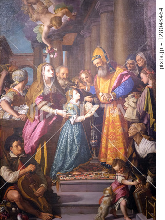 Altarpiece depicting Presentation of Mary to the temple, work by Alessandro Allori in Cathedral of St. Martin in Lucca, Italy 128043464