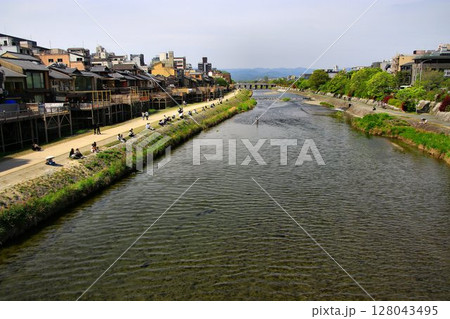京都を涼む夏の風物詩… 京都・鴨川【納涼床】 京都を涼む夏の風物詩… 京都・鴨川【納涼床】 128043495