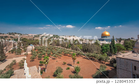 Garden area timelapse hyperlapse and view of the Dome of the Rock, in the historical center of the city 128045357