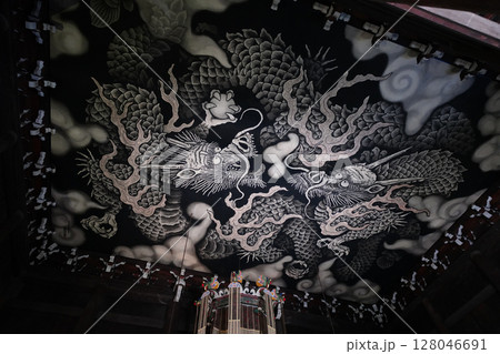 天井の龍 128046691