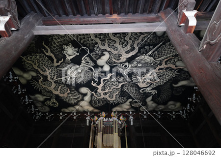 天井の龍 128046692