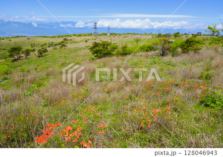 高ボッチ山山頂から高原の眺め 高ボッチ山山頂から高原の眺め 128046943