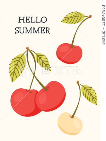 Colorful cherry illustration with summer greeting and leaves Colorful cherry illustration with summer greeting and leaves 128047853