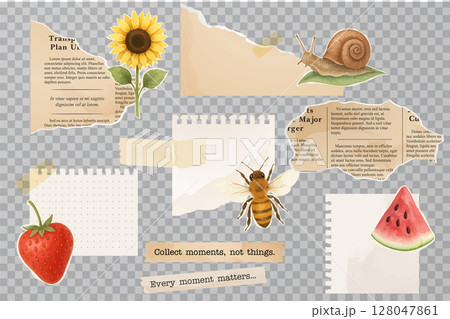 Torn paper and summer elements collage on transparent background Torn paper and summer elements collage on transparent background 128047861