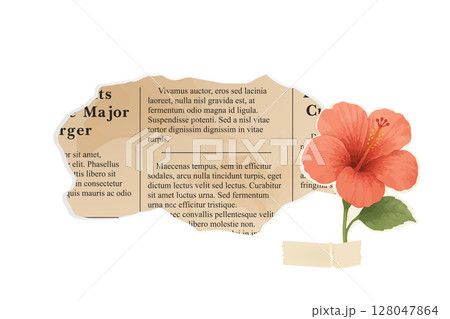 Hibiscus flower next to torn newspaper clipping background Hibiscus flower next to torn newspaper clipping background 128047864