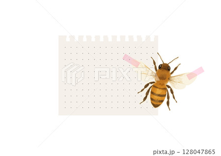 Bee on dotted paper with pink adhesive tape illustration Bee on dotted paper with pink adhesive tape illustration 128047865