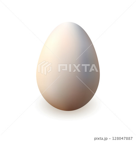 Chicken egg, realistic 3d . Vector illustration on white background Chicken egg, realistic 3d . Vector illustration on white background 128047887