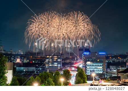 《東京都》東京競馬場花火・2025 《東京都》東京競馬場花火・2025 128048027