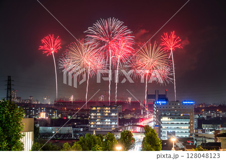 《東京都》東京競馬場花火・2025 《東京都》東京競馬場花火・2025 128048123