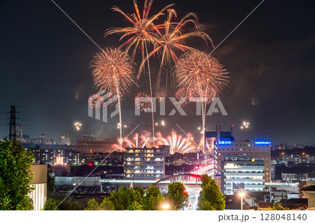 《東京都》東京競馬場花火・2025 128048140
